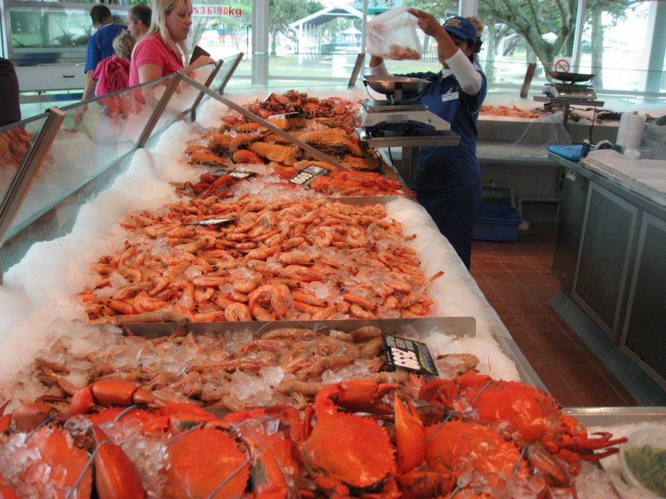 Gold Coast Archives Five Star Vagabond